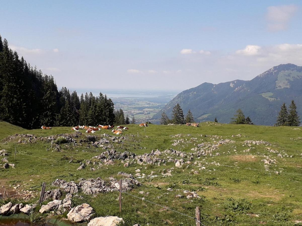 Ferienwohnung Bergzeit Обервёссен Экстерьер фото